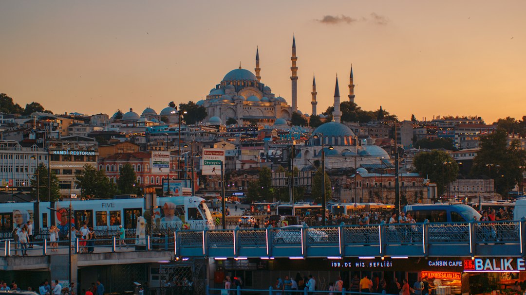 Istanbul skyline and Süleymaniye Mosque in Türkiye